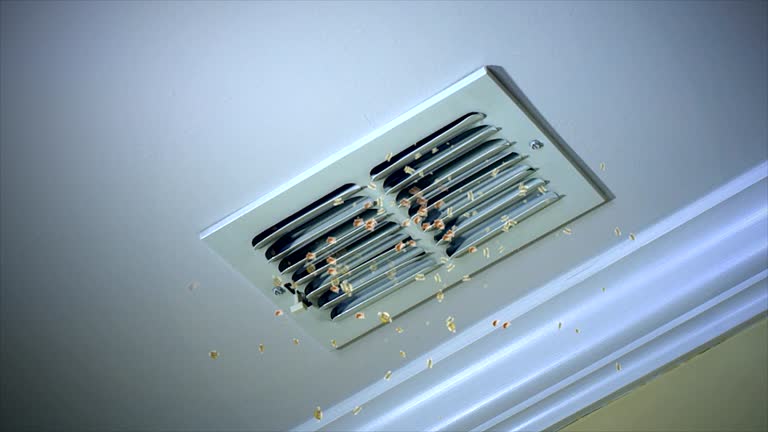 Air Duct Mold Removal in NC